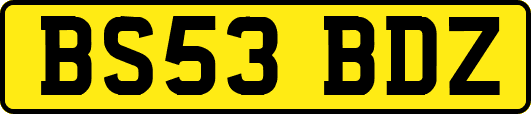 BS53BDZ