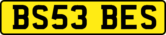 BS53BES