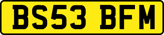 BS53BFM