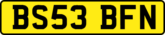 BS53BFN
