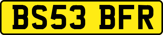 BS53BFR