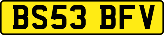 BS53BFV