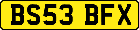BS53BFX
