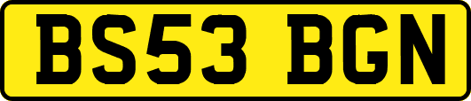 BS53BGN