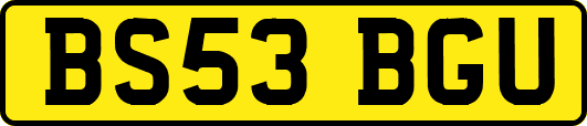 BS53BGU