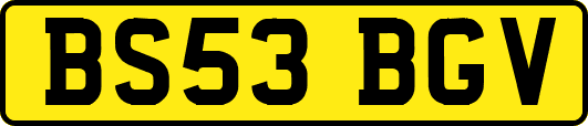 BS53BGV