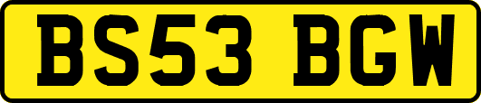 BS53BGW