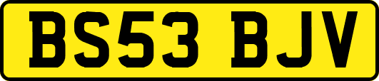 BS53BJV