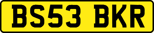 BS53BKR