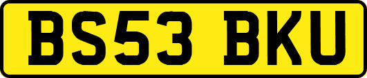 BS53BKU
