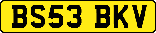 BS53BKV