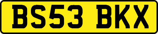 BS53BKX