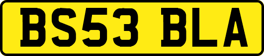 BS53BLA