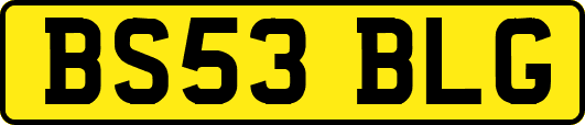 BS53BLG