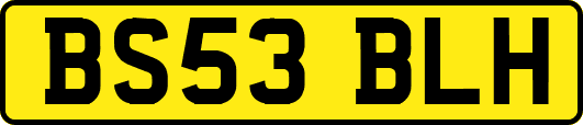 BS53BLH