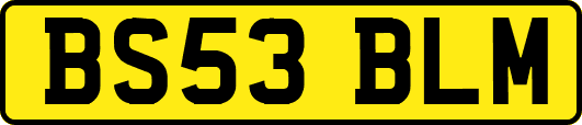 BS53BLM