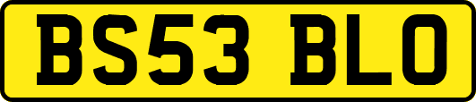 BS53BLO
