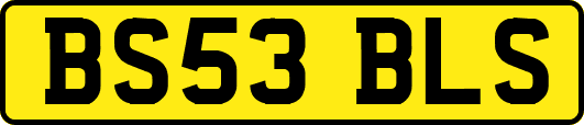 BS53BLS