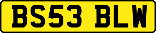 BS53BLW