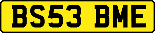 BS53BME