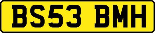 BS53BMH