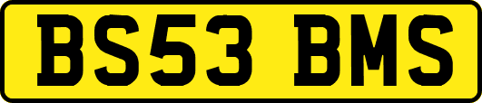 BS53BMS