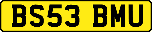 BS53BMU