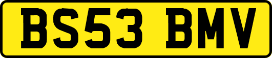 BS53BMV