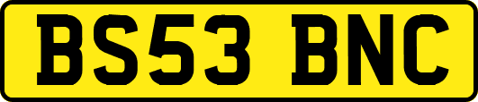 BS53BNC