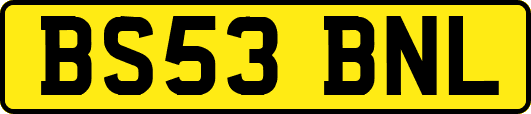 BS53BNL