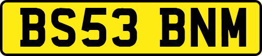 BS53BNM