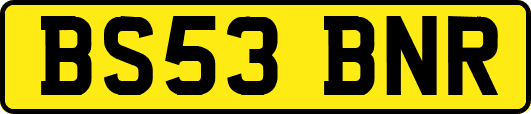 BS53BNR