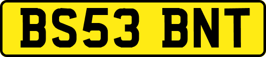 BS53BNT
