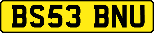 BS53BNU