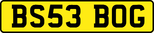 BS53BOG