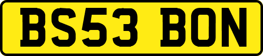 BS53BON