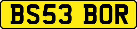 BS53BOR