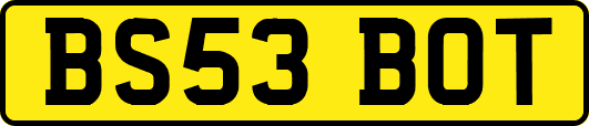 BS53BOT