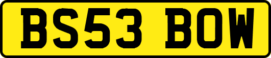 BS53BOW