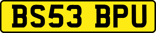 BS53BPU