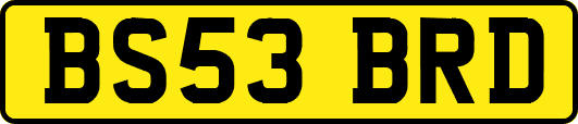 BS53BRD