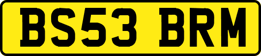 BS53BRM