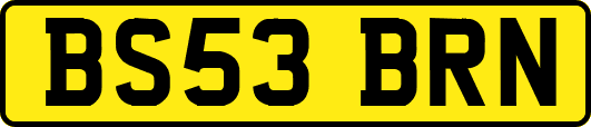 BS53BRN