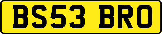 BS53BRO