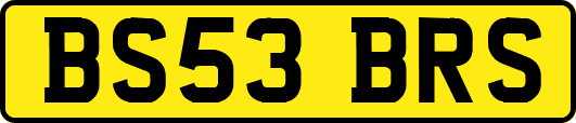 BS53BRS