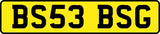 BS53BSG