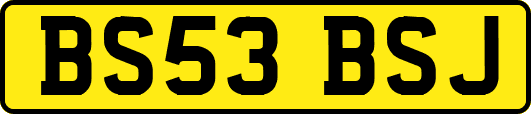 BS53BSJ