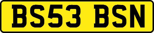 BS53BSN