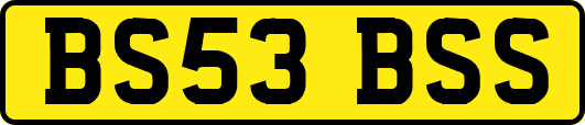 BS53BSS