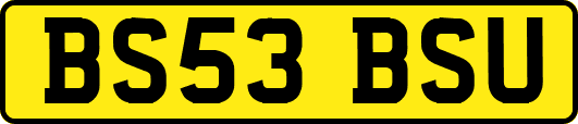 BS53BSU